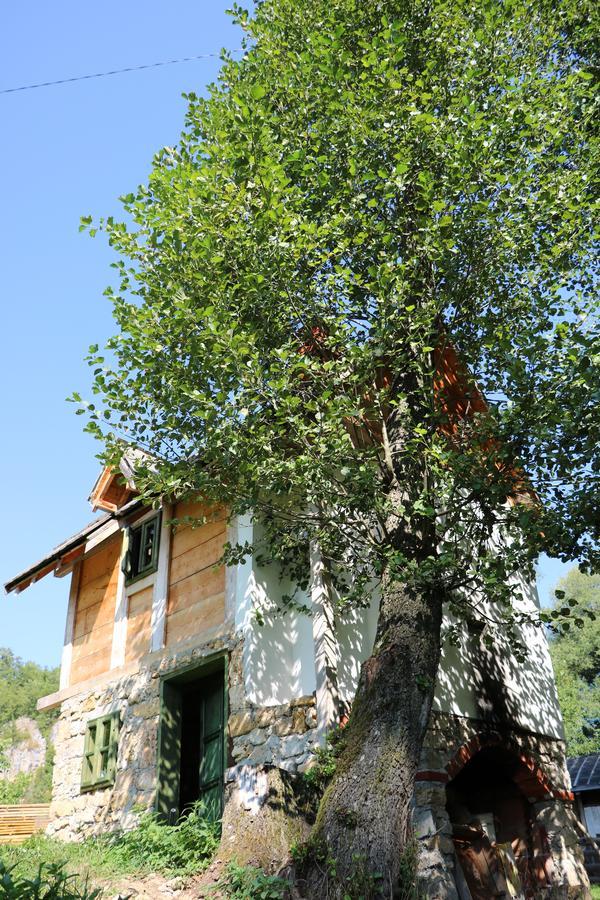 Hotel Eco Camp Dzogaska Vrela Pljevlja Exterior foto
